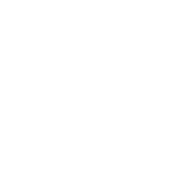 WOER TIER 2 (PC)